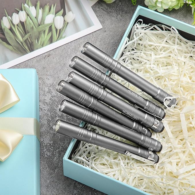 24 Pack Christmas Mini Pen Flashlights Bulk Gifts LED Pen Lights Aluminum Pocket Flashlights with Clips Small Handheld Torches for Men Camping Hiking Emergency Outdoor (Silver Gray)
