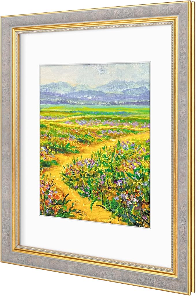 Golden State Art,11x14 Ornate Picture Frame for 8x10 Photo with Mat or 11 x 14 Prints Without Mat, Real Glass Wall Display Horizontally or Vertically (Color:Antique Gray Gold)