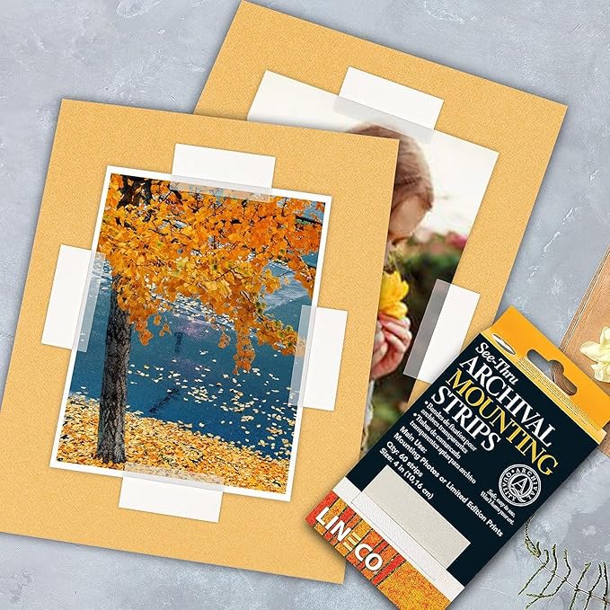 Lineco 4 Inches See-Through Archival Polyester Mounting Strips. Acid-Free, Framing Photos, Hinge-Less, Sturdy, Safe, Conservation, Easy, Artwork, Craft, DIY. (Pack of 60)