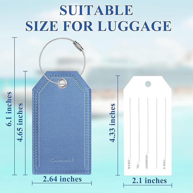 Luggage Tag & Initial Baggage Tags for Suitcases Leather Bag Tags for Backpacks Handbag School Instrument with Name ID Label Travel Essentials, Unique Fun Blue Personalized Luggage Tags 2 Pack