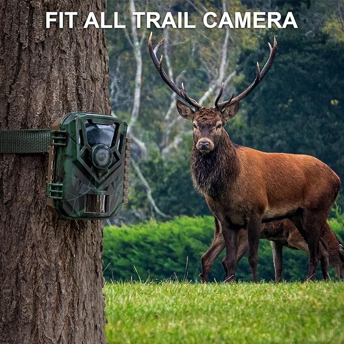 Trail Camera Strap 2 PCS - Adjustable Security Strap for Outdoor Trail Camera, Monitoring, Motorcycle, Cargo, Trucks, Trailer, Luggage,Load 400 lbs Trail Cam Straps 3.3 ft x 1 in, Green (39 inch)