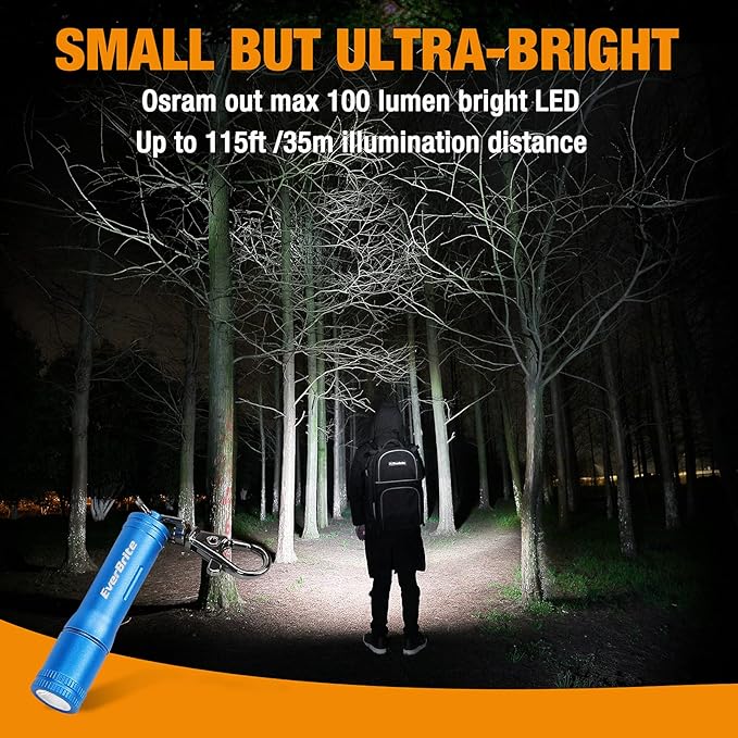 EverBrite Keychain LED Flashlight Mini Bright Key Ring Portable Pocket Torch for EDC, Party Favors, Night Reading, Camping, Power Outage, Emergency, AAA Battery Included, Blue