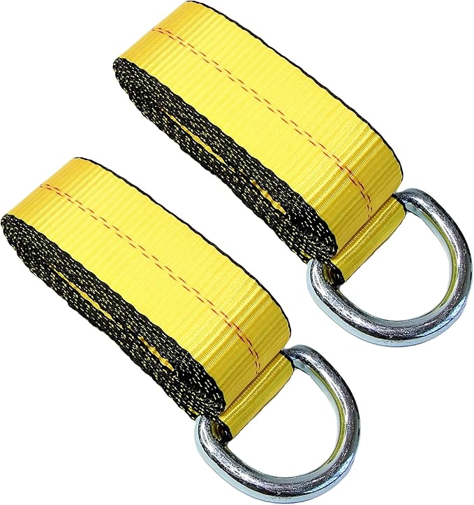 WorldPac (Pack of 2) 2" X 8 Ft Lasso Strap with D Ring Auto Tie Down