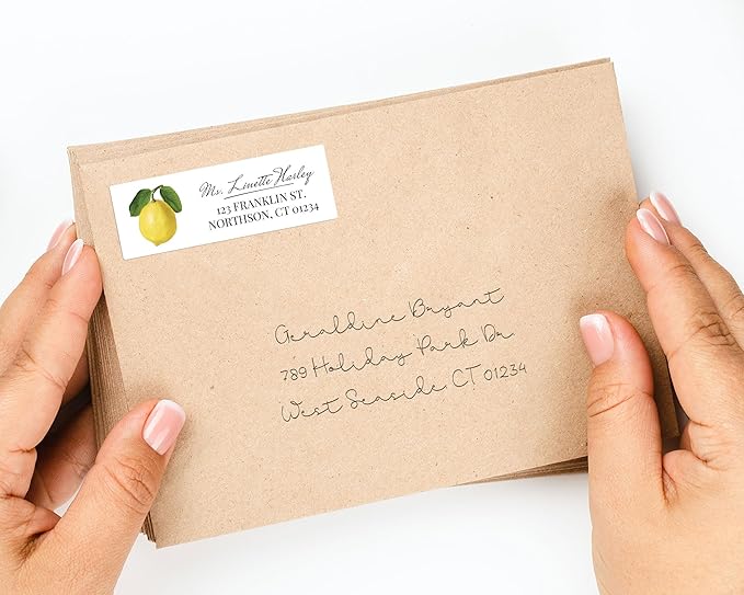 Personalized Return Address Labels - Vintage Elements - Over 80 Images to Choose from - Custom Self Adhesive Stickers for Envelopes (60-960 Labels) (Colorful Elegant Style)