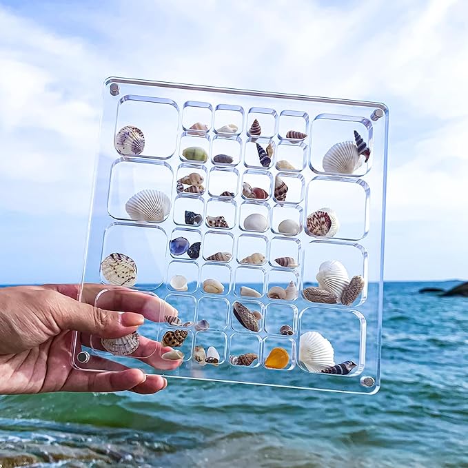 Multi-Style Clear Acrylic Magnetic Seashell Display Collection Box with Tweezers，Tiny Seashell Holder Display Case Collecting Small shells Trinkets Sea Glass Shark Teeth Beach Themed Gifts