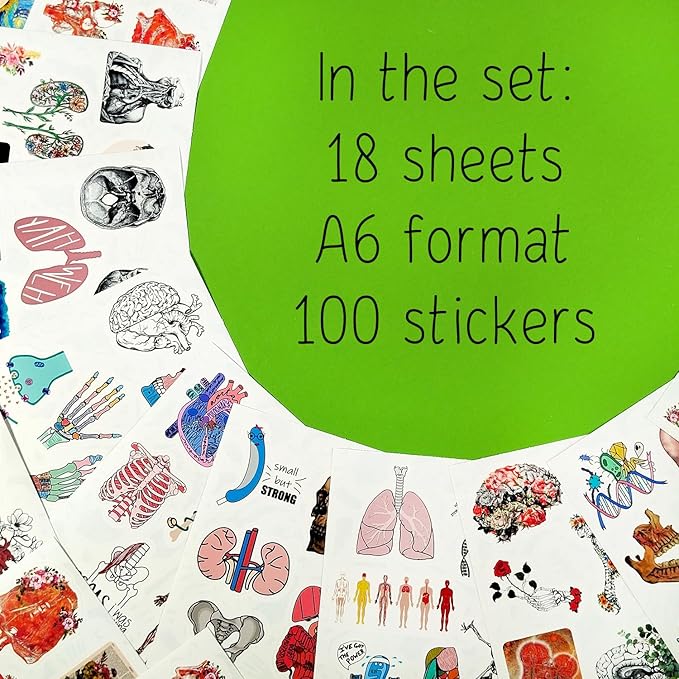 BulbaCraft 100Pcs Anatomy Stickers, Human Anatomy Decals, Body Part Stickers, Gifts for Women & Men