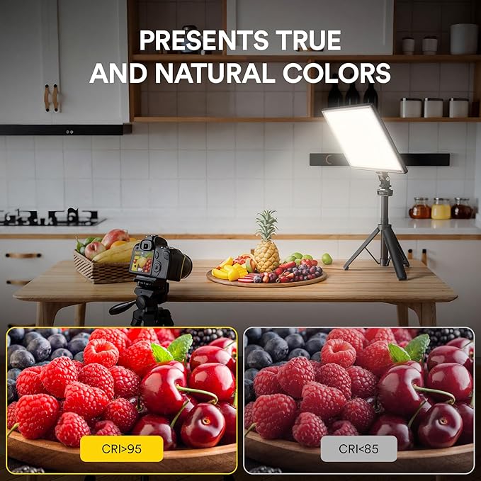RALENO 19.5W LED Video Soft Light Panel, 650Lux/m 13" Camera Panel Light Built-in 8000mAh Battery, CRI>95 2500-6500K Photography Studio Lights for TikTok YouTube Video Recording Photography Streaming