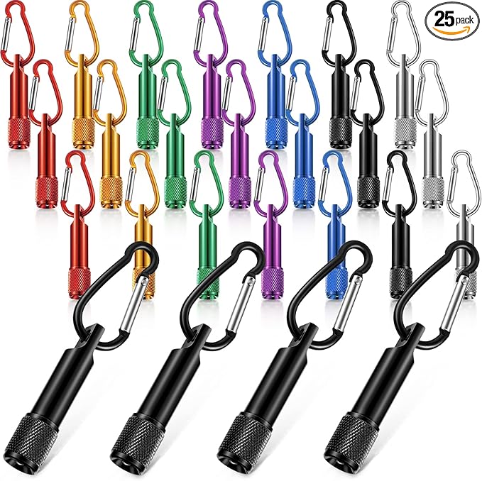 CHENGU 25 Pack Mini Keychain Flashlights Bulk with Carabiner Pocket LED Handheld Flashlight for Summer Outdoor(Multi Color)