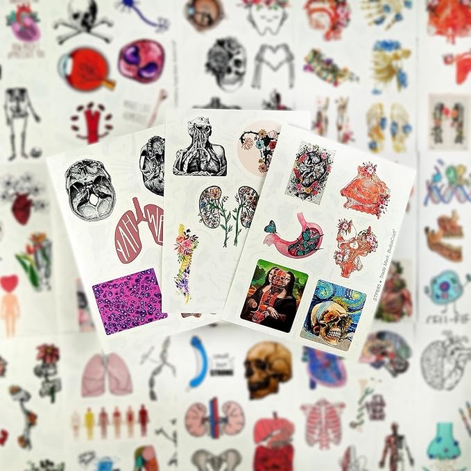 BulbaCraft 100Pcs Anatomy Stickers, Human Anatomy Decals, Body Part Stickers, Gifts for Women & Men