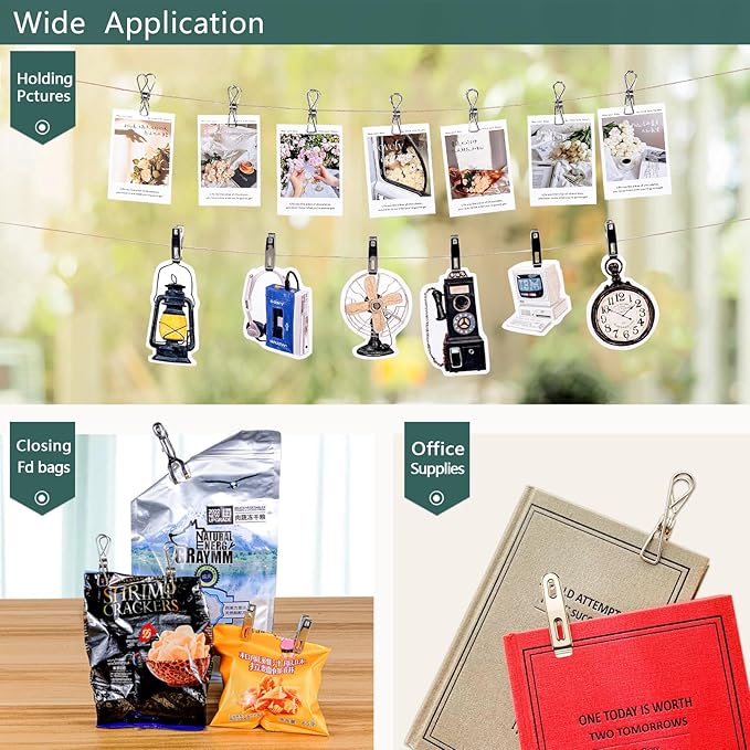 (40 PCS) Stainless Steel Clothes Pins Heavy Duty Outdoor, Mini Laundry Clothespins, Small Metal Bag Chip Clips, Food Packages, Clothesline Sock Snack Clips, PHYDELU