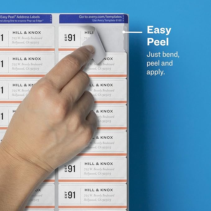 Avery Printable Address Labels with Sure Feed, 1" x 2-5/8", Matte Clear, 300 Blank Mailing Labels (18660) (Pack of 2)