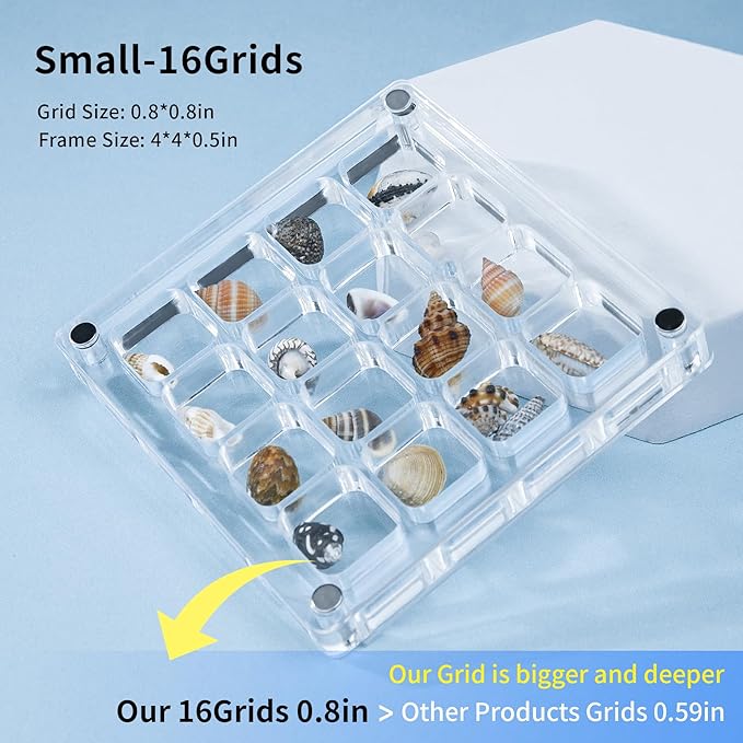 Multi-Style Clear Acrylic Magnetic Seashell Display Collecting Box, Acrylic Shadow Box for Tiny Treasure Hunting Seashell Holder Display Grid Cabinet Case Box,Display Seashell Jewelry Crystal