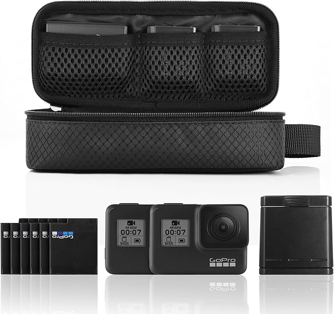 TXEsign DSLR Camera Battery Storage Bag, Battery Holder Case for GoPro Hero 10 9 8 7 6 5 4