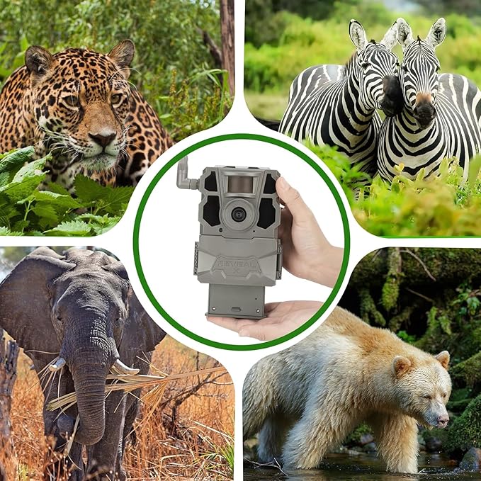 (Pack of 2) 7000mAh Rechargeable Lipo Lithium Battery Trail & Game Camera Battery Compatible with Tactacam Pack Reveal Hunting Camera X, X Pro, Pro 3.0, X Gen 2.0, X Gen 3.0, XB, SK - 7.4V 51.8WH