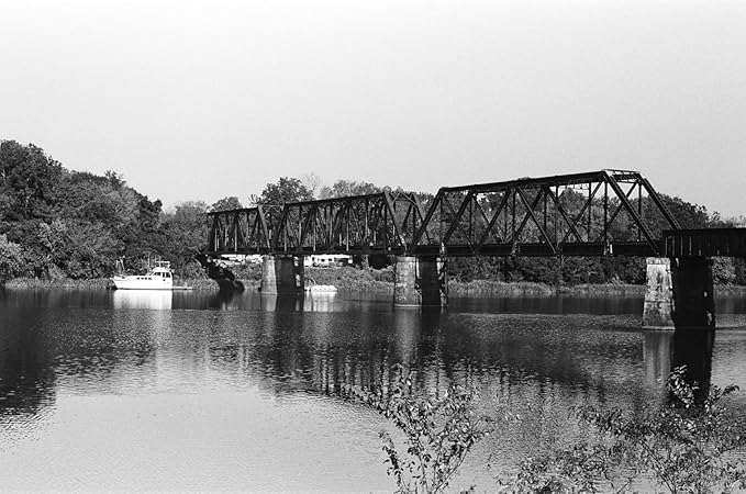 Darkroom Control — Pincary ISO 100 35 mm Film for Home Developing, Black and White 35mm Film with Steady Density, Scan Friendly Negatives, 35mm Camera Workflow, DX 24x36mm, 36EXP - 3Pack ﻿