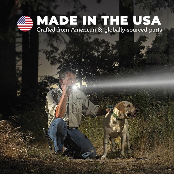 MagLite Mini LED Flashlight – Compact, Water-Resistant, Twist On/Off, 2-Cell AAA Battery-Powered – Blue