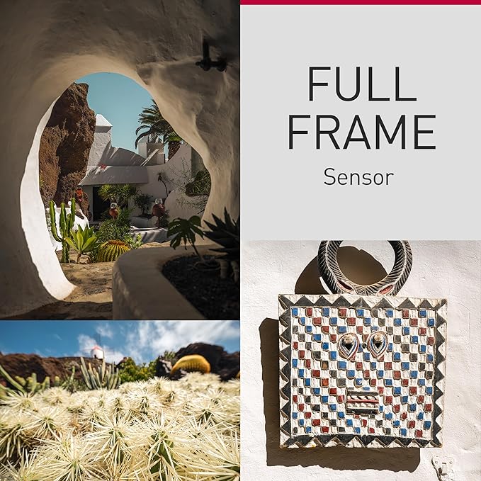 Panasonic LUMIX S9 Full-Frame Mirrorless Camera with S 18-40mm F4.5-6.3 Lens, Compact, Lightweight Body, Perfect for Social Media and Travel, Cameras for Photography, DC-S9NK