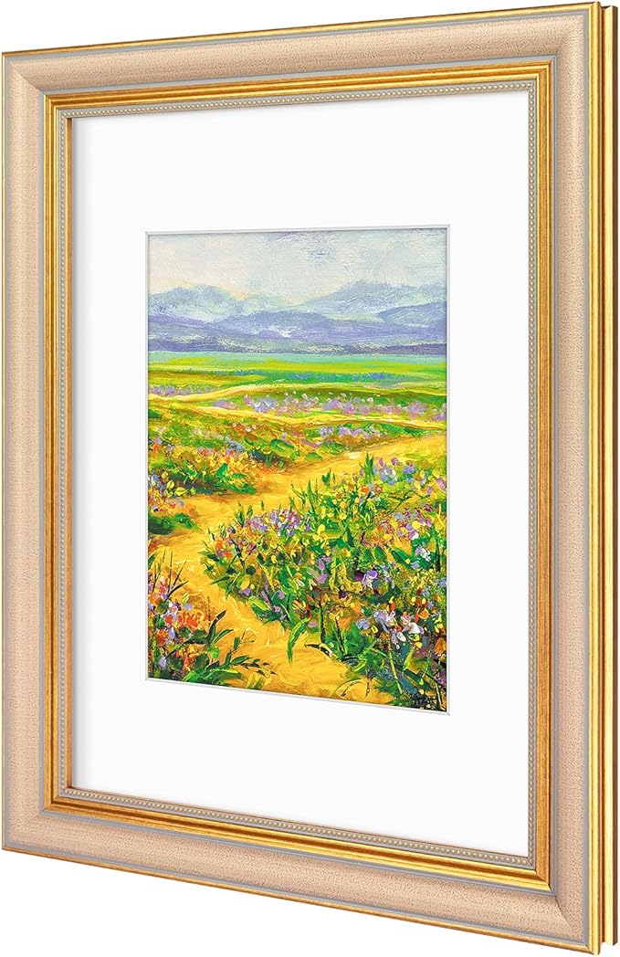Golden State Art,9x12 Ornate Picture Frame for 6x8 Photo with Mat or 9 x 12 Prints without Mat, Real Glass Wall Display Horizontally or Vertically (Color:Champagne Gold)