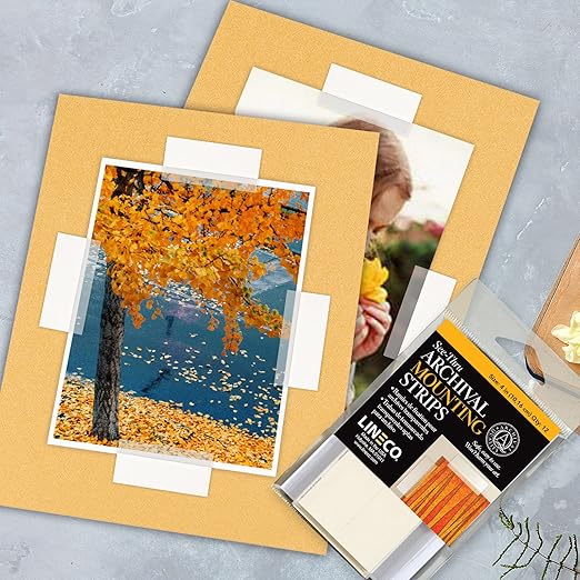 Lineco See-Thru Polyester Mounting Strips, Hingeless Mount Artwork to Mats, Sturdy for Prints, Documents, Photos, Paper and More. 4 inches, Pack of 12