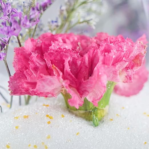 (NET 8 LBS) Silica Gel Flower Drying, Silica Gel Flower Drying Crystals, Color Indicating Flower Drying Silica, Reusable Silica Gel for Drying Flowers
