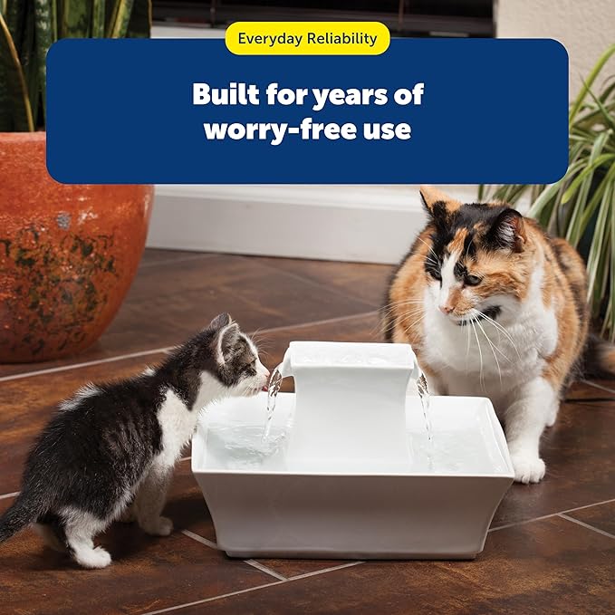 PetSafe Drinkwell Fountain Cleaning Kit - Deep Bowl Cleaning for Hard-to-Reach Areas of Compatible Cat Fountains - Removes Hidden Residue & Maintains Pump Performance