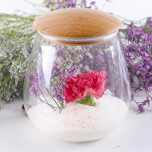 2 Set of 5 LBS Silica Gel Flower Drying Kit, Silica Sand Reusable Flower Preservation Kit with Airtight Container, Gloves, Brush, Safety Goggles for DIY Wedding Bouquet Preservation