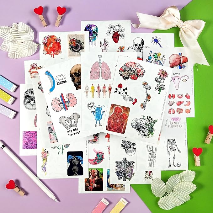 BulbaCraft 100Pcs Anatomy Stickers, Human Anatomy Decals, Body Part Stickers, Gifts for Women & Men