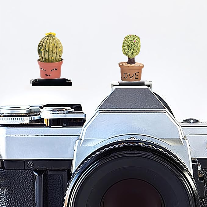 Camera Hot Shoe Cover, Cartoon Plants Cactus Hot Shoe Cap, Hot Shoe Protector Compatible with Sony Fujifilm Fuji Canon Nikon Pentax Leical Panasonic (2pcs Love)