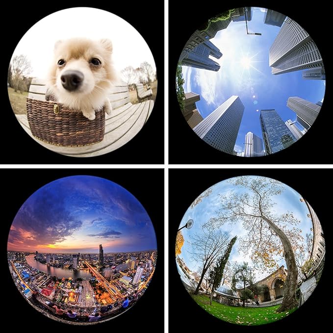 KEYWING Fisheye Lens 198° Fish Eye Phone Camera Lens Kit for iPhone Fish Bowl Camera Lens Attachments for iPhone Samsung Smartphone Black