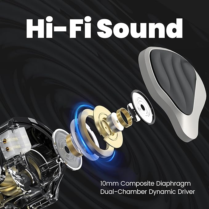 Hybrid in Ear Monitors Headphones with Mic, IEM Earphones 10mm Dual Dynamic Drivers, HiFi Wired Earbuds, Zinc Alloy Faceplate in Ear Monitor with Silver-Plated Detachable Cable for Musician