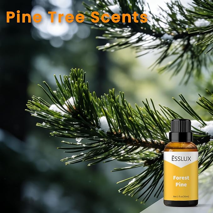 Forest Pine Fragrance Oil - ESSLUX Pine Tree Scents, Fresh Wood Essential Aromatherapy Oils for Home for Diffuser, Candle Soap Making Scents, Massage, Perfume, Home Fragrance, 30 ml
