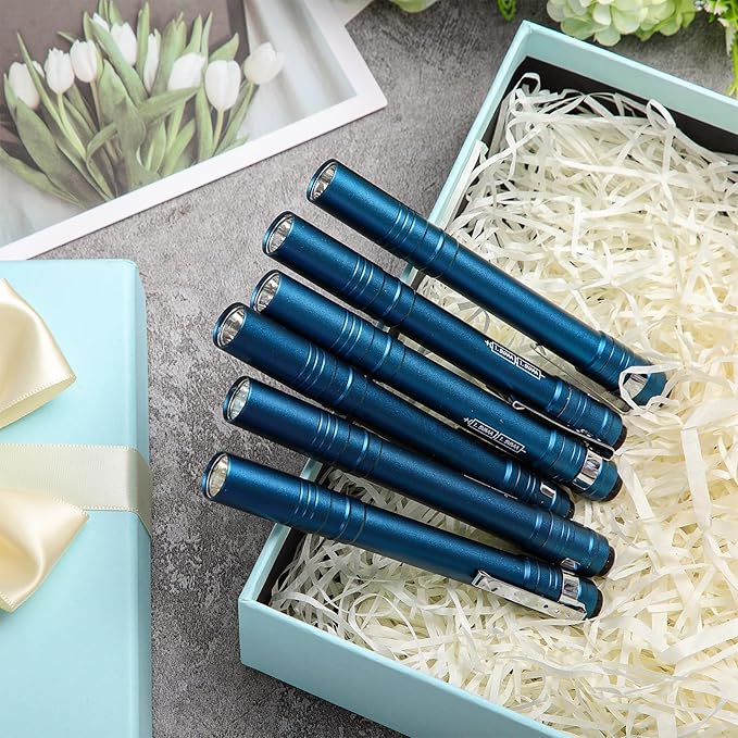 24 Pack Mini Pen Flashlights Bulk Gifts LED Pen Lights Aluminum Pocket Flashlights with Clips Small Handheld Torches for Men Camping Hiking Emergency Outdoor (Navy Blue)