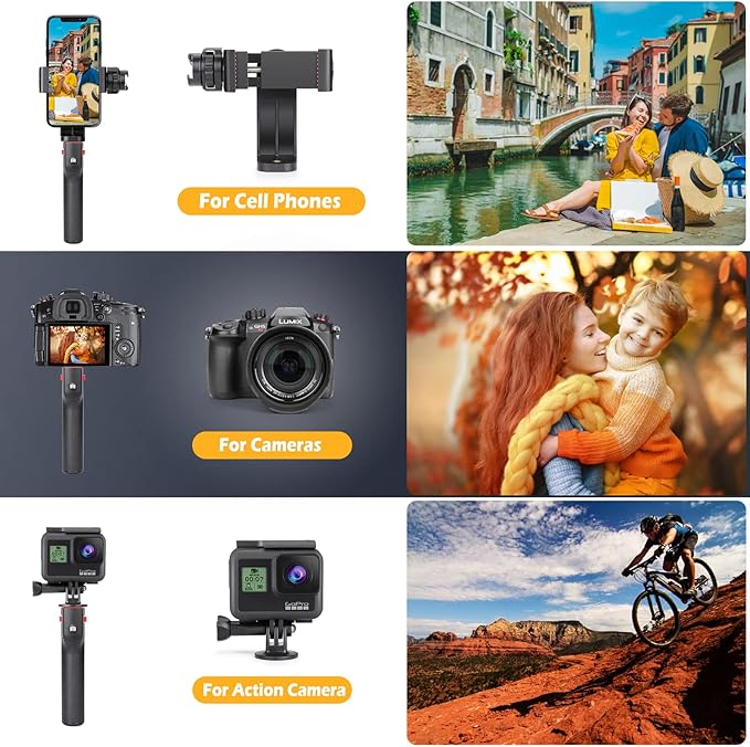 Zeadio Smartphone Video Cage Rig with a RGB Video Light, Fits for All iPhone and Android Smartphones