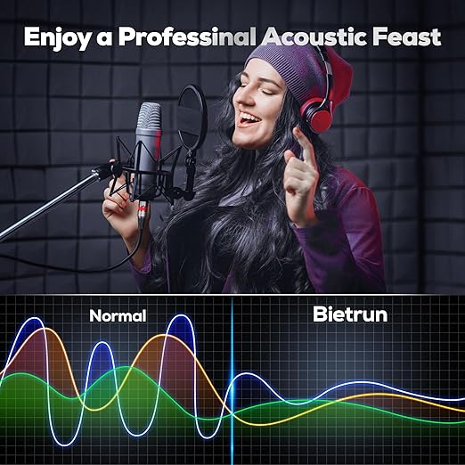 XLR Cables 100FT/30M 2 Packs, Premium Heavy Duty Balanced Microphone Cable with 3-Pin XLR Male to Female Microphone Cord Connector Compatible with Microphones,Mixer,Speaker Systems,Preamps and More