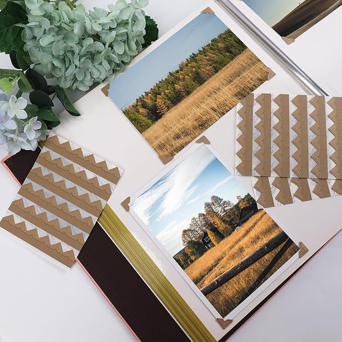 Lineco Kraft Acid-Free 0.5" Archival Photo Corners, Self-Adhesive, Pressure Sensitive, Non-Yellowing, Mount Pictures Without it Touching Tape, Scrapbooking, DIY, Displaying Pictures. (Pack of 252)