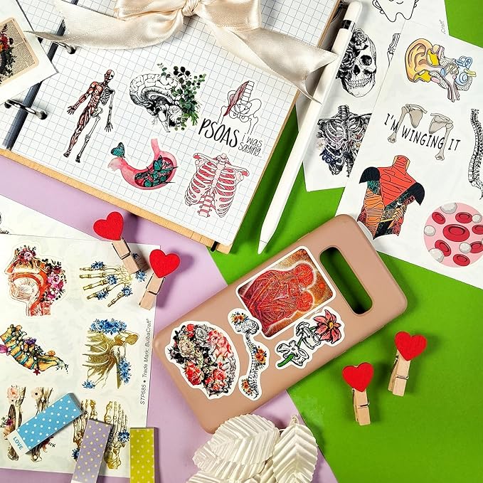 BulbaCraft 100Pcs Anatomy Stickers, Human Anatomy Decals, Body Part Stickers, Gifts for Women & Men