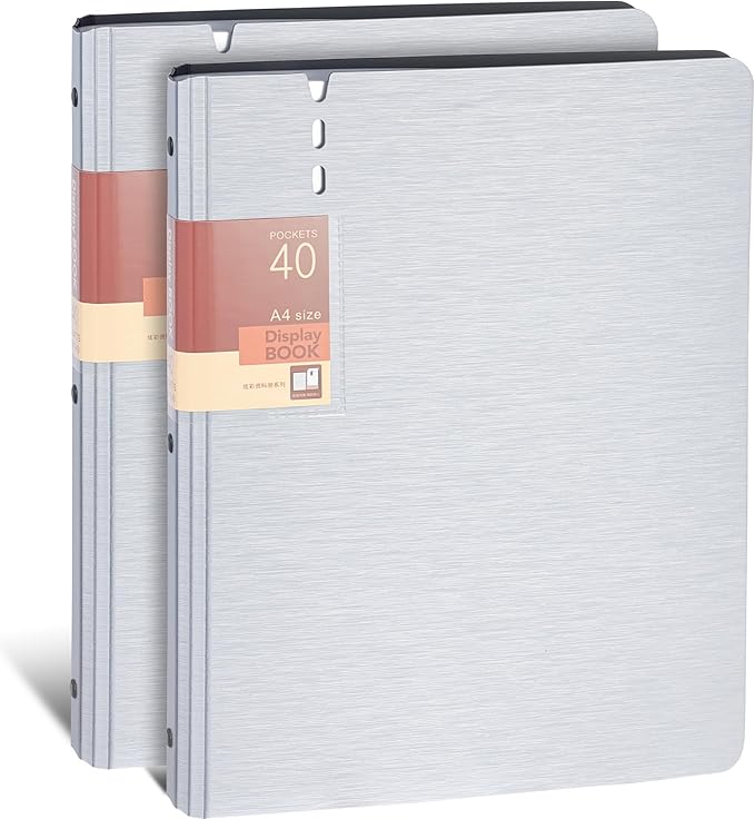 WORPSON Presentation Binder 40-Pocket, Displays 80 Pages, 9x12 inch with Plastic Sleeves, Portfolio Organizer for Documents, Certificates, Artwork, Photos, Clear Sheet Protectors (Silver, 2 Pack)