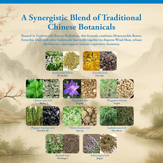 Kan Herbs Company Yin Qiao – Traditional Chinese Herbal Formula for Respiratory Support, Throat Comfort, and Seasonal Balance, Helps Release Wind Heat, Herbal Supplement – 120 Tablets