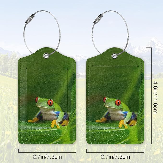 2 Pack Leather Luggage Tag for Suitcase Cute Tree Frog Funny Animal Unique Travel Tags with Privacy Cover ID Label & Stainless Steel Loop for Men and Women Baggage