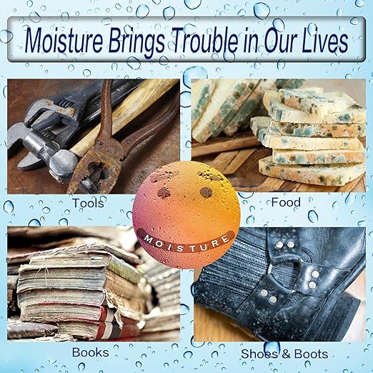 Silica Gel Packets, 5 Gram Desiccants Packs, Moisture Absorbers, Food Grade Silica Gel Desiccant for Storage, Silica Packets for Moisture Control[200 Packs]