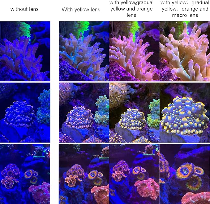 Coral Lens Set, Smartphone Reef Lens Kits, 1 Dust Case, 2 Clips, 8 Lenses: Yellow, Orange, Gradual Yellow Orange Pink, Star6, CPL, Macro