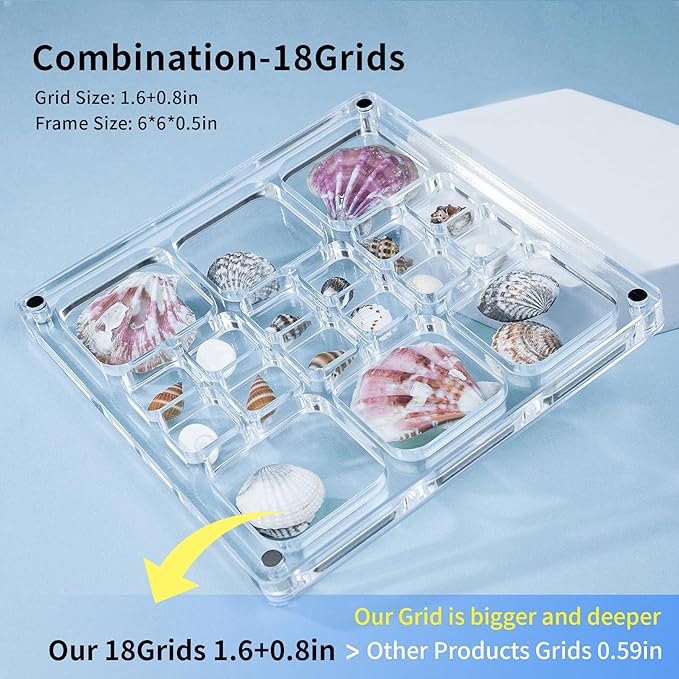 Multi-Style Clear Acrylic Magnetic Seashell Display Case, Shadow Box for Tiny Treasure Hunting Seashell Holder Display Grid Cabinet, Jewelry Crystal