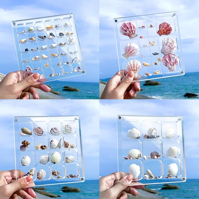 Multi-Style Clear Acrylic Magnetic Seashell Display Collection Box with Tweezers，Tiny Seashell Holder Display Case Collecting Small shells Trinkets Sea Glass Shark Teeth Beach Themed Gifts