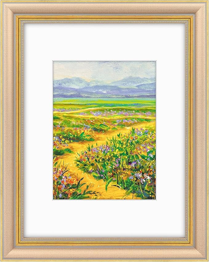 Golden State Art,9x12 Ornate Picture Frame for 6x8 Photo with Mat or 9 x 12 Prints without Mat, Real Glass Wall Display Horizontally or Vertically (Color:Champagne Gold)