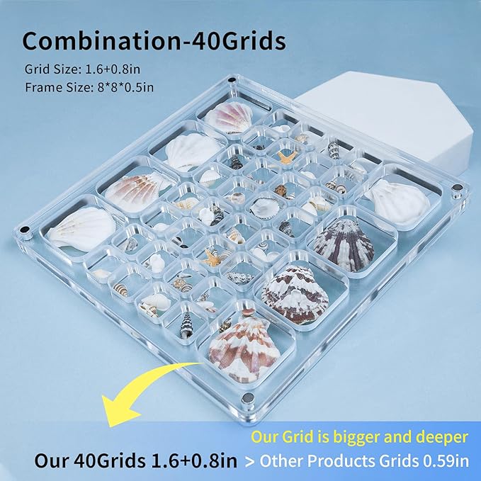 Multi-Style Clear Acrylic Magnetic Seashell Display Collection Box with Tweezers，Tiny Seashell Holder Display Case Collecting Small shells Trinkets Sea Glass Shark Teeth Beach Themed Gifts