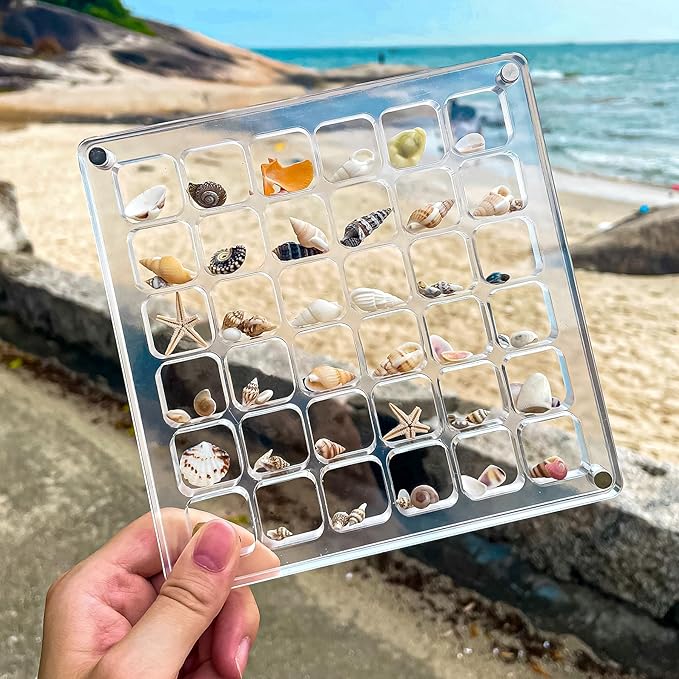 Multi-Style Clear Acrylic Magnetic Seashell Display Collection Box with Tweezers，Tiny Seashell Holder Display Case Collecting Small shells Trinkets Sea Glass Shark Teeth Beach Themed Gifts