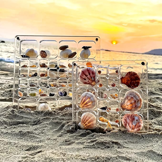 Multi-Style Clear Acrylic Magnetic Seashell Display Case, Shadow Box for Tiny Treasure Hunting Seashell Holder Display Grid Cabinet, Jewelry Crystal