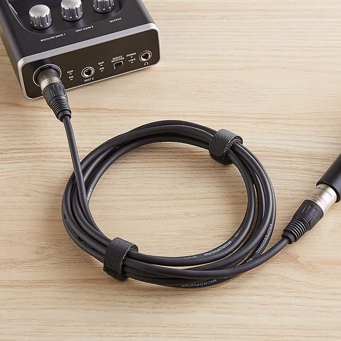 Amazon Basics 2-Pack XLR Microphone Cable for Speaker or PA System, Recording Studio, All Copper Conductors, 6MM PVC Jacket, 15 Foot, Black