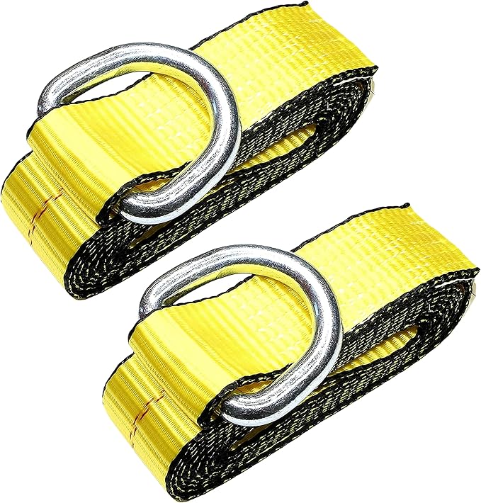 WorldPac (Pack of 2) 2" X 12ft Feet Lasso Strap with D Ring Auto Tie Down