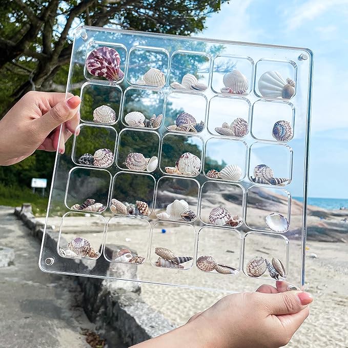 Multi-Style Clear Acrylic Magnetic Seashell Display Case, Shadow Box for Tiny Treasure Hunting, Holder Display Grid Cabinet